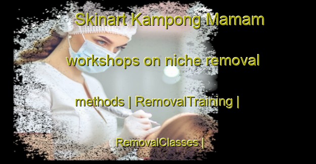 Skinart Kampong Mamam workshops on niche removal methods | RemovalTraining | RemovalClasses | SkinartTraining-Singapore